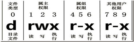 image-20201116215255019