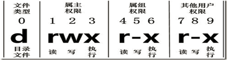 image-20201116215306562